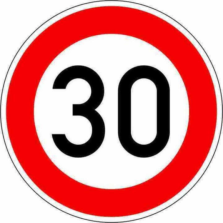 Magni VKZ.274-30 tondo 600mm 30 km/h marchio di qualità RAL foglio RA1