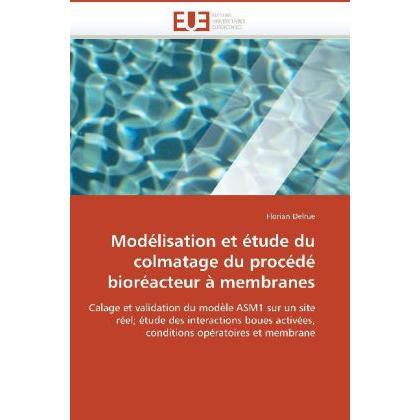 Modélisation et étude du colmatage du procédé bioréacteur à membranes, Fachbücher