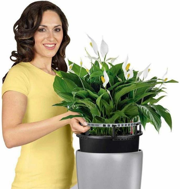 Produktbild Lechuza RONDO Premium. (32.50 x 32.50 x 56.50 cm)