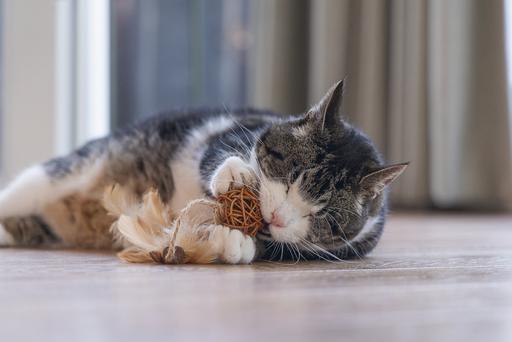 Image du produit Beeztees Katzenspielzeug Ball mit Feder (Jouets avec herbe à chat)