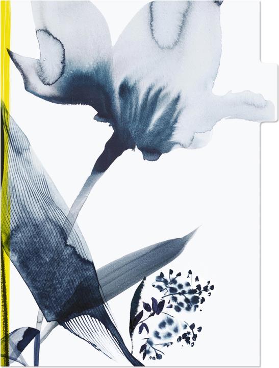 Actual product image Clairefontaine Inkebana, Set de 3 pochettes à onglets 22x31 cm, ass. - A motifs (22 x 31 cm)