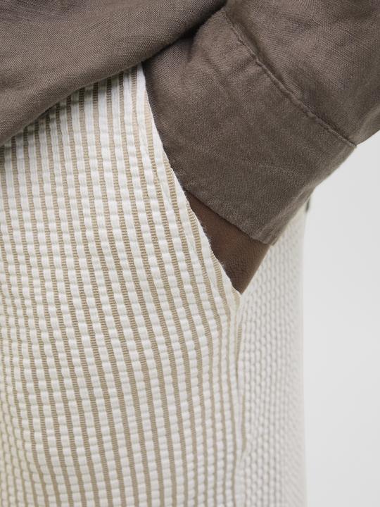 Actual product image Jack & Jones Jpstjaiden May Jogger Shorts Mid Sn (L)