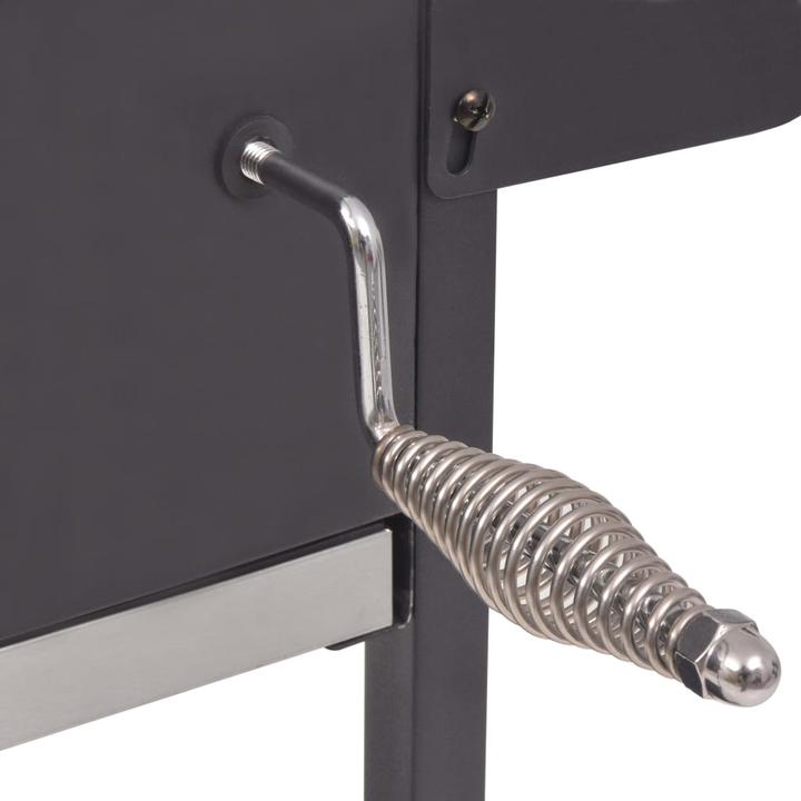 Actual product image vidaXL Nicomachus (40 cm)