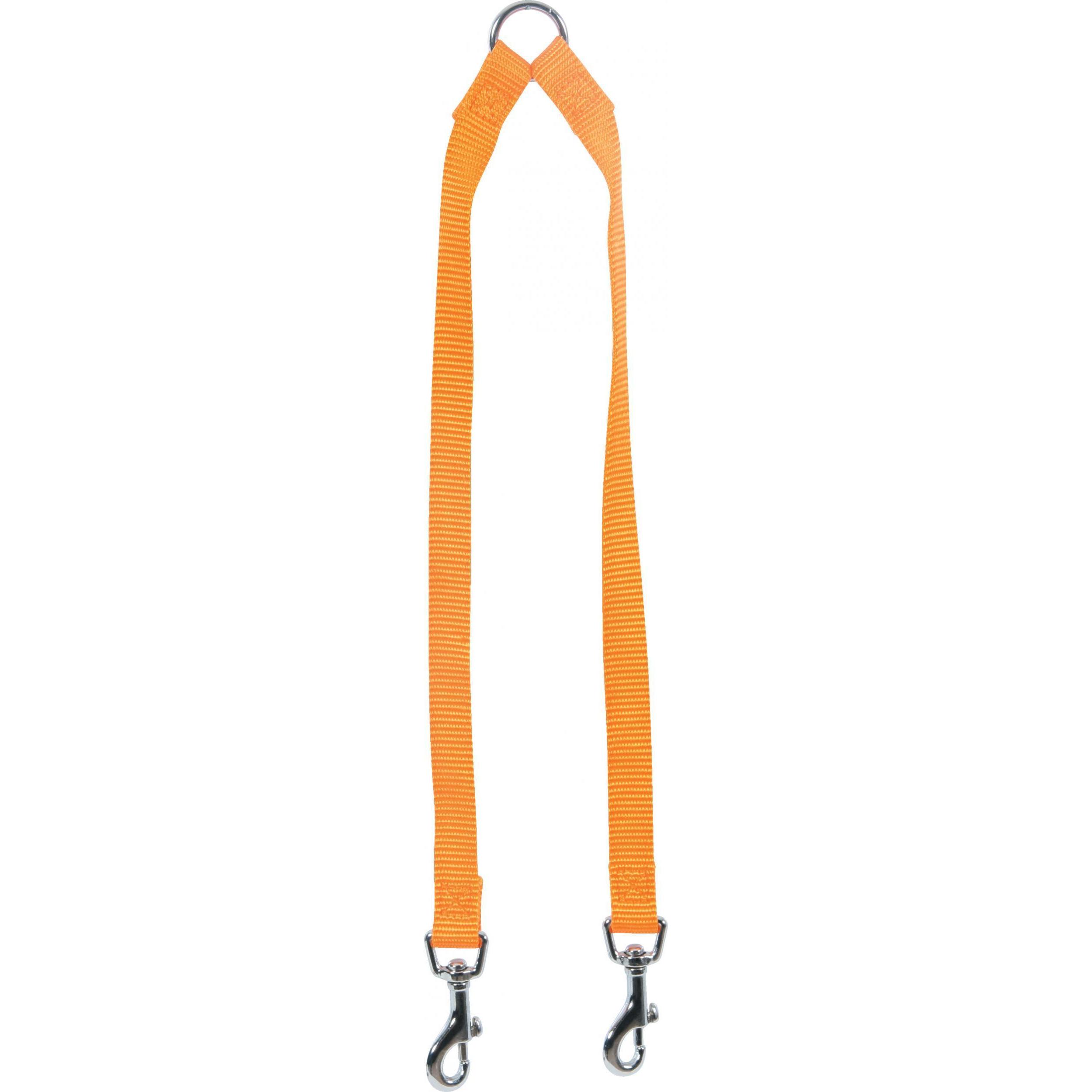 Zolux Double nylon leash 15 mm (Hund, Allgemein), Halsband + Leine