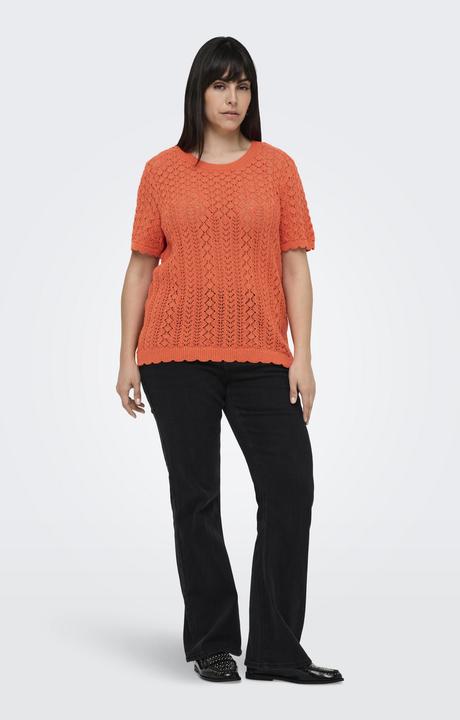 Image du produit Only CARSAGA Gestricktes Oberteil Gestricktes Oberteil (S)