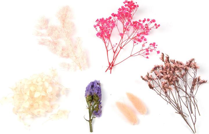 Natura Punto Trockenblumen Set