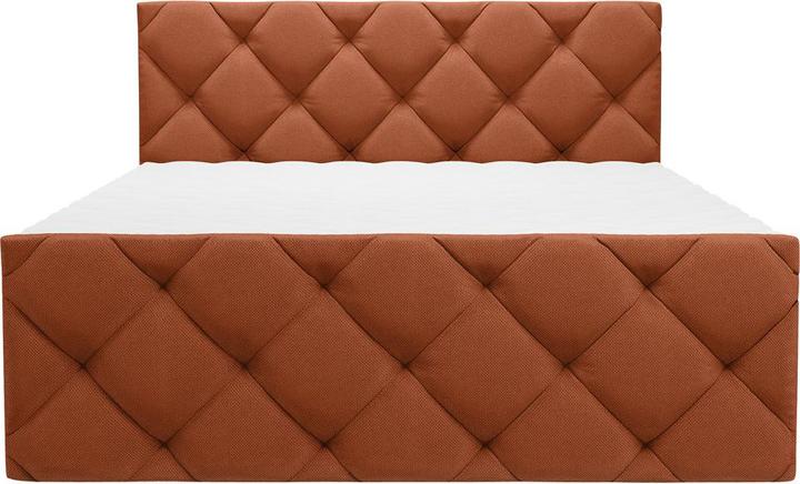 Immagine prodotto Livetastic Pedro (180 x 200 cm)