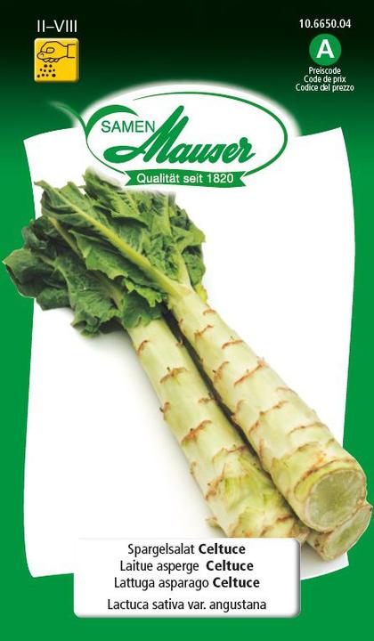 Produktbild Samen Mauser Spargelsalat Celtuce (Gemüsesamen)