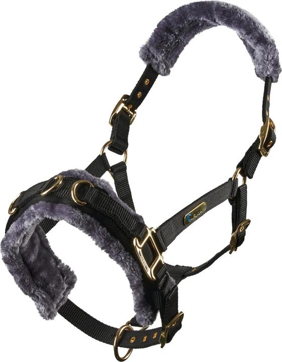 Shires - Caveçon de longe pour chevaux