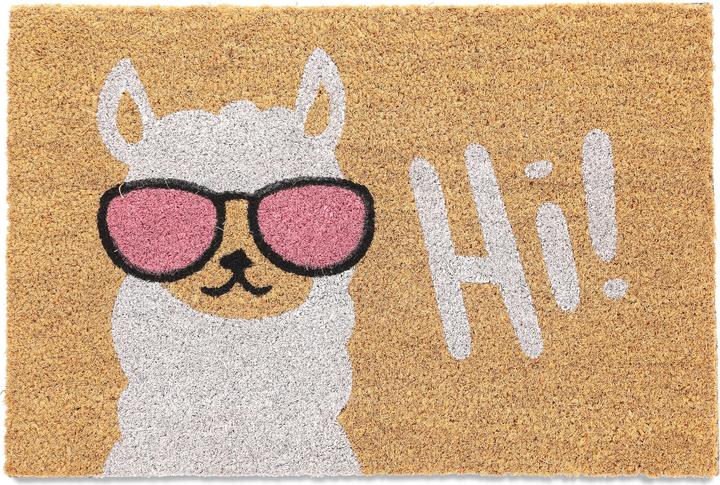 Relaxdays Fussmatte (60 x 40 x 1.5 cm)