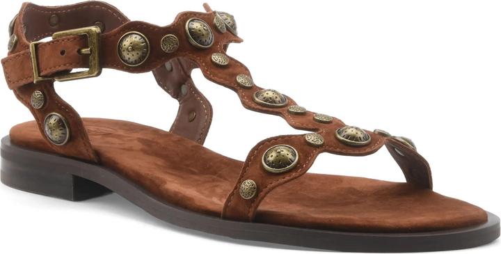 Actual product image Ash Phanny (39)