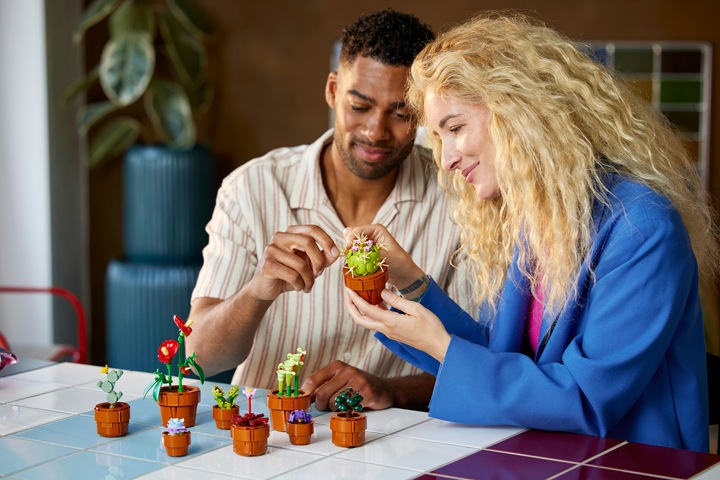 Produktbild LEGO Mini Pflanzen (10329, LEGO Icons, LEGO Botanical)