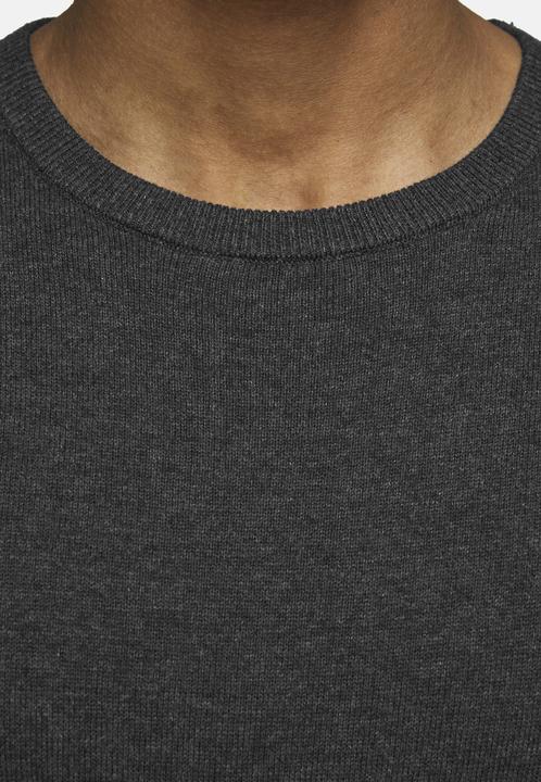 Actual product image Jack & Jones Basic (L)