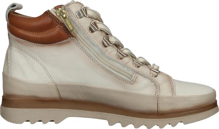 Image du produit Pikolinos Bottines (36)