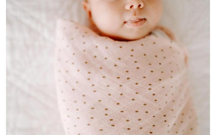 Produktbild aden + anais Swaddles (120 cm, 120 cm)