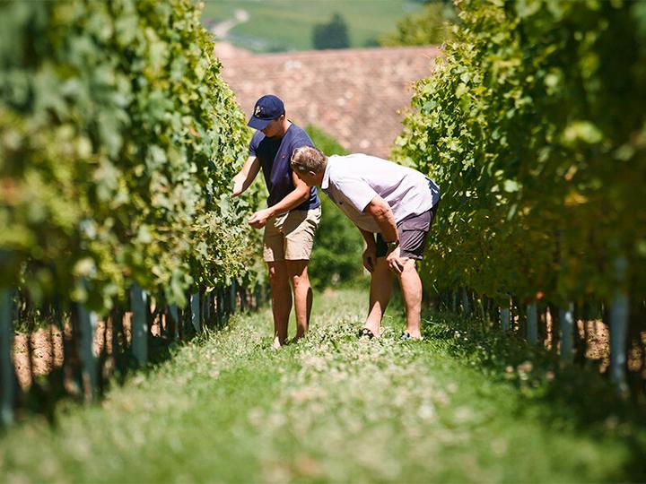 Image du produit Smartbox Dégustation de 11 vins, visite des caves, collation et bouteille offerte à Gilly (1 Personne)