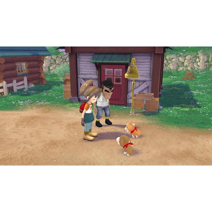 Produktbild Marvelous Story of Seasons: A Wonderful Life (Switch, EN)