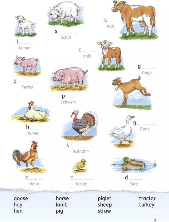 Produktbild Mein buntes Vokabelheft Englisch 3./4. Klasse (Deutsch, Englisch, Ludwig Waas, Martina Knapp, 2018)