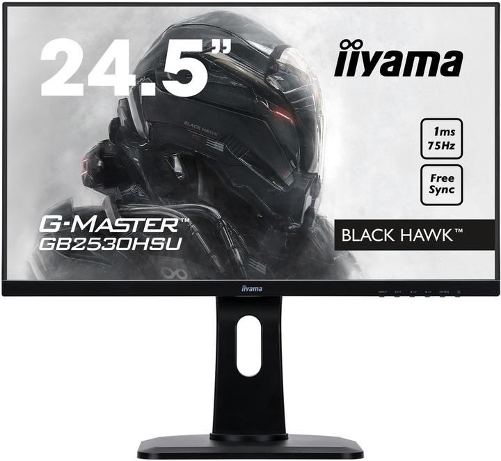 iiyama G-Master GB2530HSU-B1 (1920 x 1080 pixels, 24.49")