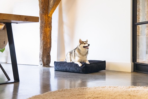 Image du produit Designed by Lotte Coussin de couchage Ribbed (Chien)