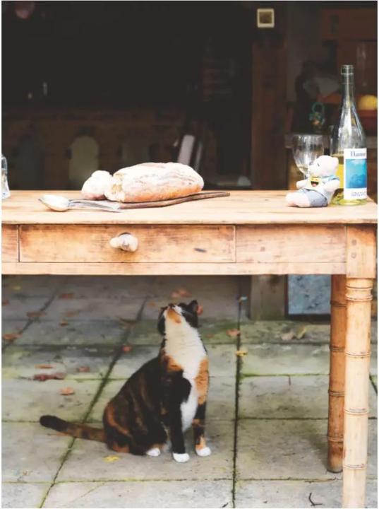 Produktbild Pronto! (Deutsch, Carla Gröppel-Wegener, Gennaro Contaldo, 2019)