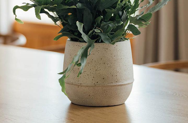 Immagine prodotto Herstera Goral (35 x 35 x 34 cm)