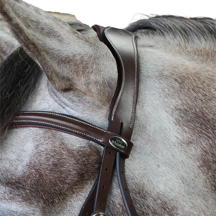 Image du produit - Têtière de chevaux PICK N MIX