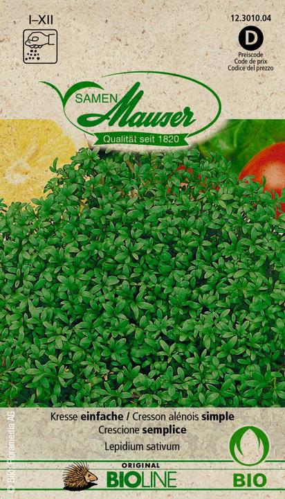 Image du produit Samen Mauser Bourgeon de cresson biologique (Graines d'herbes aromatiques)