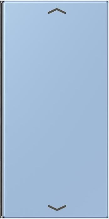 Actual product image JUNG Key