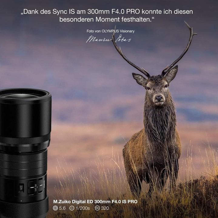 Produktbild Olympus ED 300mm f/4 IS PRO (Micro Four Thirds, Micro Four Thirds)