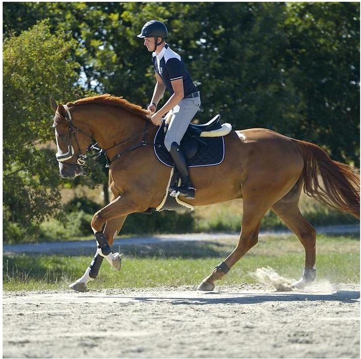 Image du produit Kavalkade Bottes d'équitation en cuir Maximus pour femmes (37)