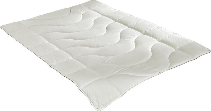 Produktbild Irisette Greenline Greenline Cyclafill ECO 4-Jahreszeiten (1650 g, 200 x 200 cm)