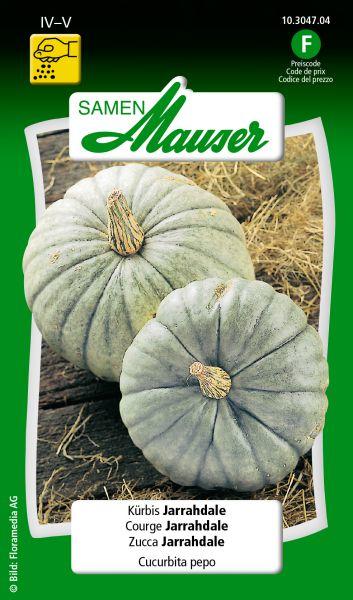 Image du produit Samen Mauser Kürbis Jarrahdale (Graines de légumes)