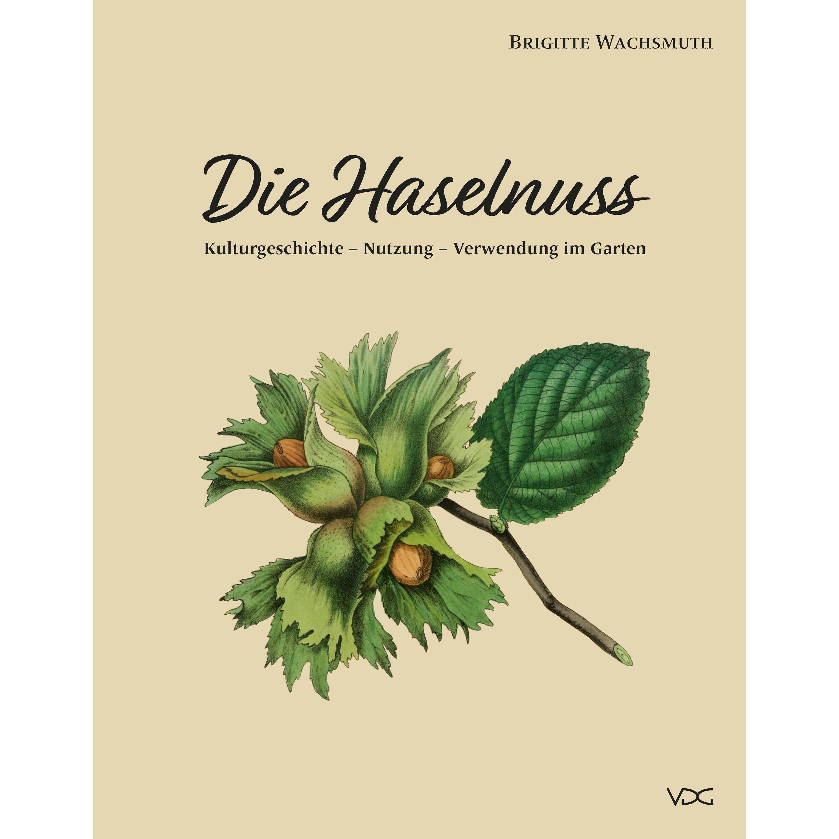 Die Haselnuss, Sachbücher von Brigitte Wachsmuth
