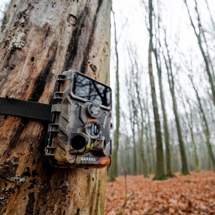 Actual product image Caruba Wildcamera Moose 4K