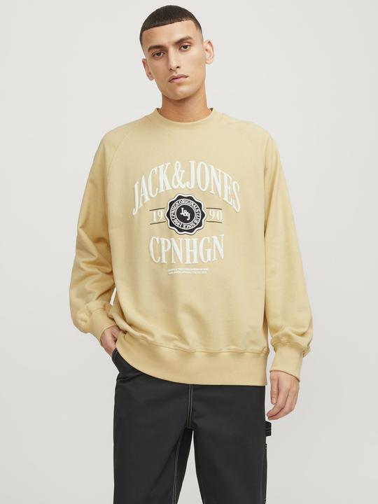 Actual product image Jack & Jones Printed sweatshirt with round neck Sweatshirt with round neck (S)