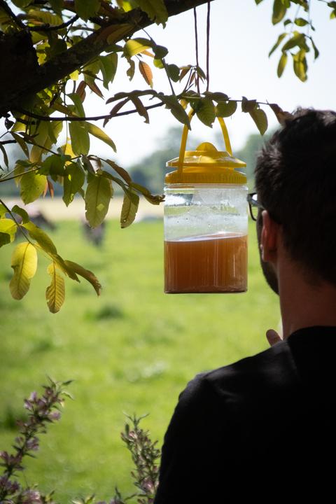 Produktbild Knock Off FlyNip FliegenFalle