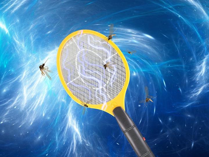 Actual product image Beper P206ZAN200