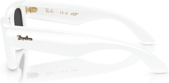 Actual product image Ray Ban Wayfarer buffer