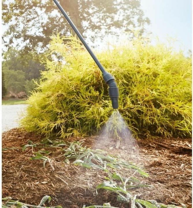 Actual product image Ryobi RY18BPSB-0 (15 l)