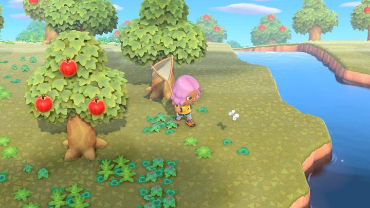 Actual product image Nintendo Animal Crossing: New Horizons (Switch, Multilingual)