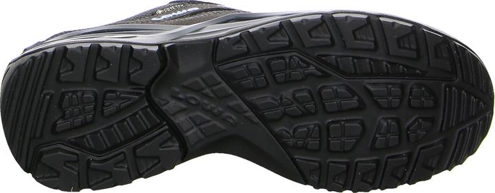 Actual product image Lowa Sirkos Evo Gtx Lo Ws (41.5)