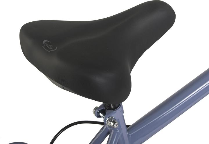Actual product image Hollandia Dutch bike men 28" City Next Blue RH 56 cm 6 gears (56 cm)
