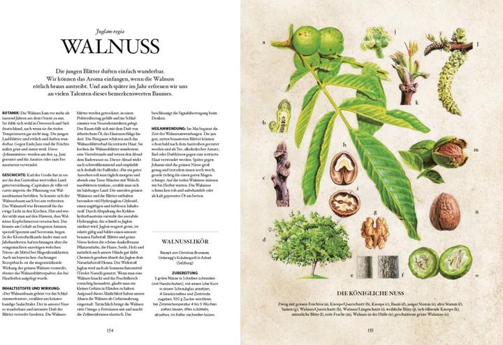 Produktbild Die Natur-Apotheke (Deutsch, Miriam Wiegele, 2018)