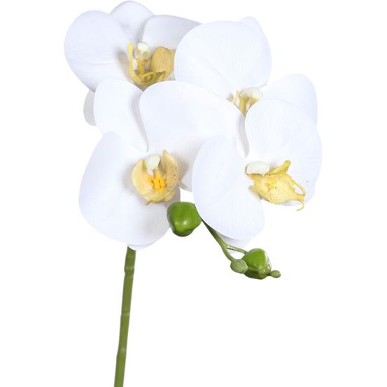 Thumbnail - DPI, Kunstpflanzen, Kunstblume - Orchidee - ca. 66 cm - creme (66 cm)