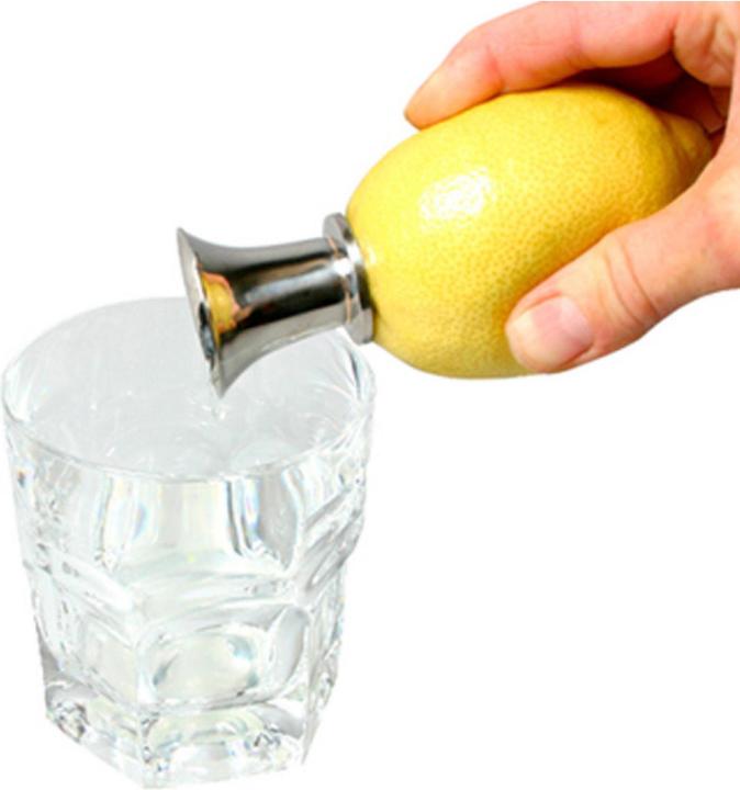 Actual product image Chevalier Diffusion Stainless steel lemon squeezer