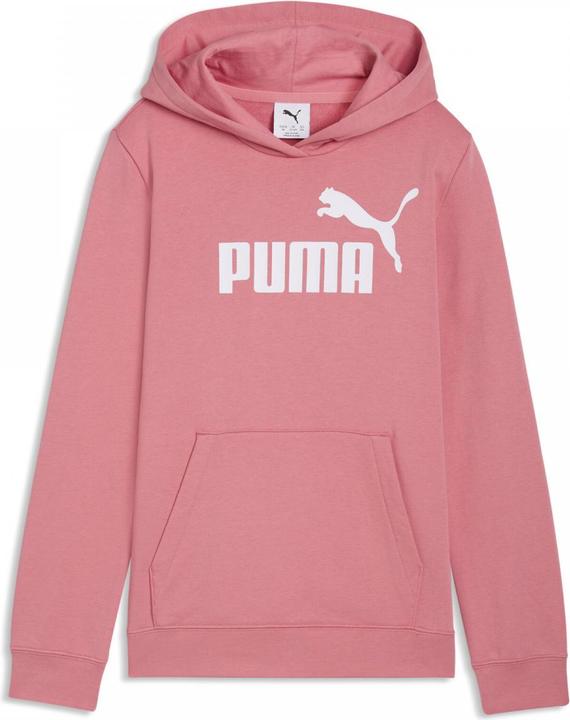 Produktbild Puma ESS No. 1 Logo Hoodie TR G (128)