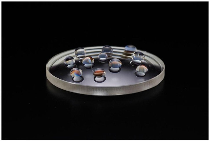 Actual product image Nikon Monarch M7 (10 x, 42 mm)