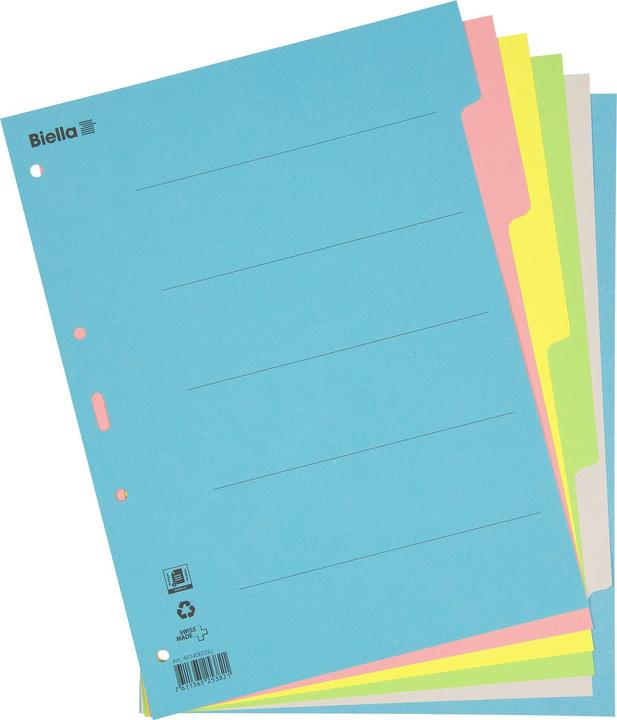 Actual product image Biella Cardboard tab