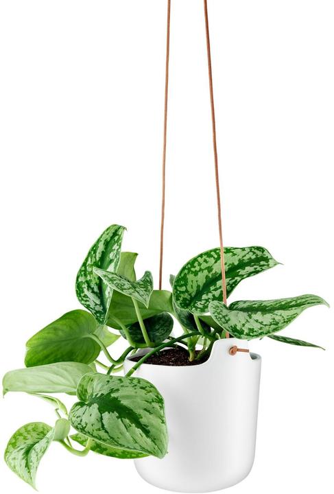 Actual product image Eva Solo Eva (15 cm)